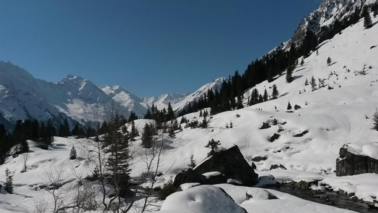 Pension Rosenhuegel Neustift im Stubaital Zewnętrze zdjęcie